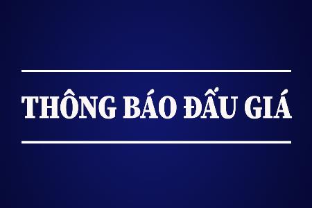 Thông báo công khai việc đầu giá sản sản tại xã Mường Tè và Xã Phong Thổ