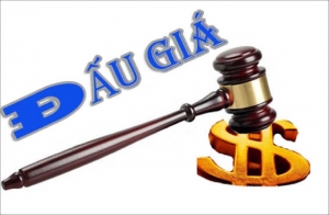 Quyết định sửa đổi, bổ sung Quy chế cuộc đấu giá quyền sửa dụng đất Quyết định sửa đổi, bổ sung Quy chế cuộc đấu giá quyền sửa dụng đất