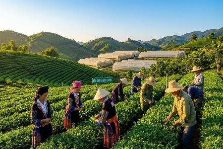 HỖ TRỢ ĐẾN 5 TỶ ĐỒNG CHO CÁC DỰ ÁN PHÁT TRIỂN SẢN XUẤT GIAI ĐOẠN 2026 - 2030